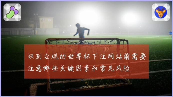 识别合规的世界杯下注网站前需要注意哪些关键因素和常见风险
