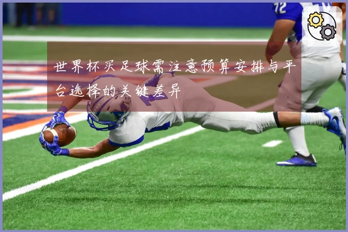 世界杯买足球需注意预算安排与平台选择的关键差异