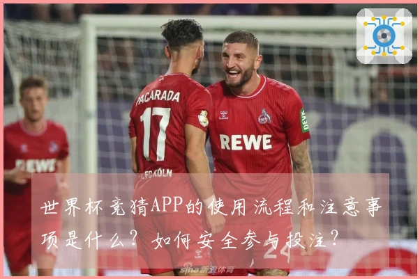 世界杯竞猜APP的使用流程和注意事项是什么？如何安全参与投注？
