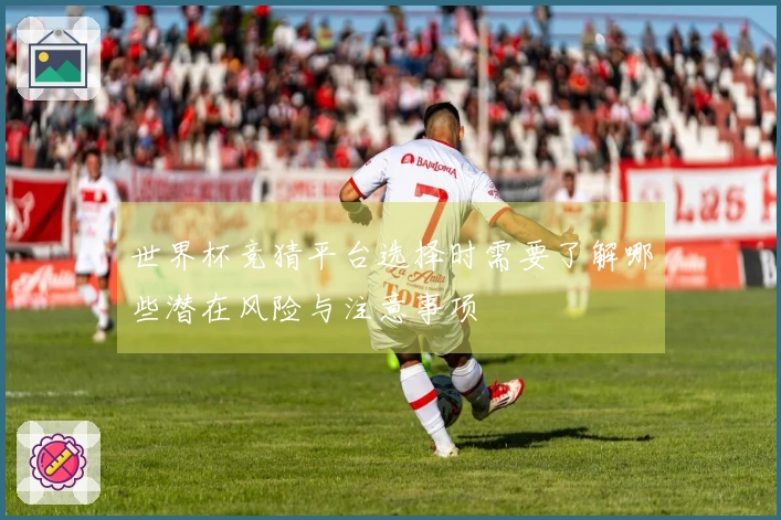 世界杯竞猜平台选择时需要了解哪些潜在风险与注意事项
