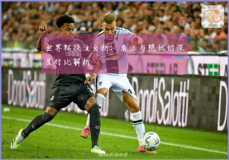 世界杯投注分析：看法与隐忧的深度对比解析
