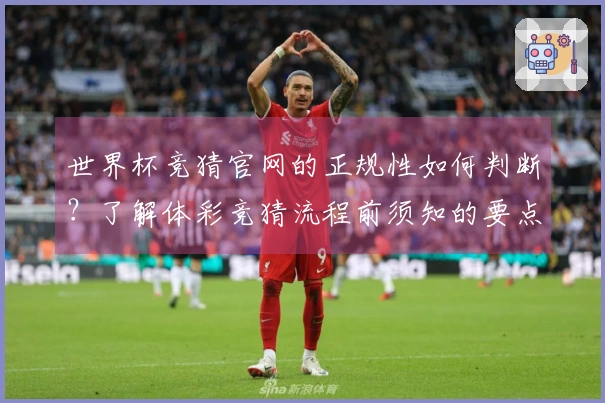 世界杯竞猜官网的正规性如何判断？了解体彩竞猜流程前须知的要点与陷阱