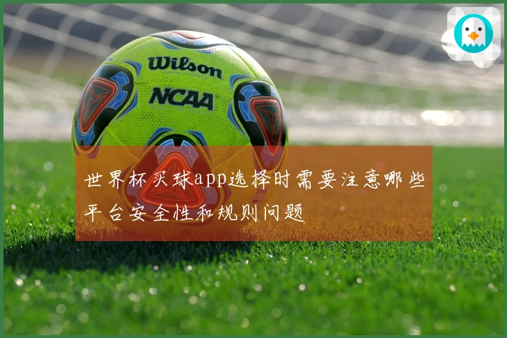 世界杯买球app选择时需要注意哪些平台安全性和规则问题
