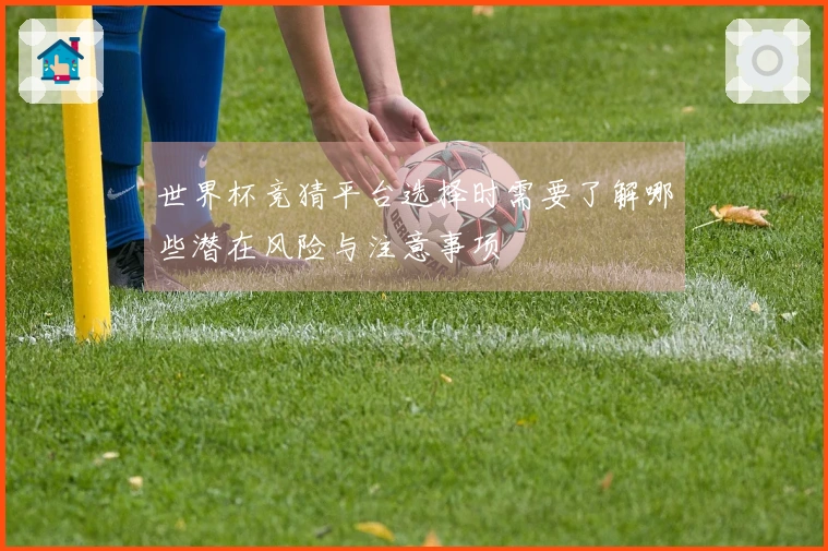 世界杯竞猜平台选择时需要了解哪些潜在风险与注意事项