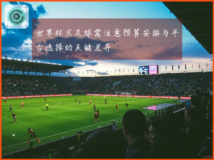 世界杯买足球需注意预算安排与平台选择的关键差异