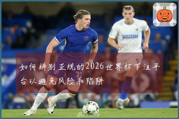 如何辨别正规的2026世界杯下注平台以避免风险和陷阱