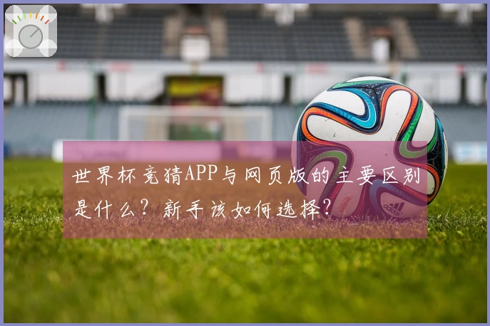世界杯竞猜APP与网页版的主要区别是什么？新手该如何选择？