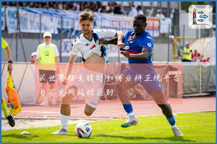 买世界杯竞猜时如何分辨正规平台与不良网站的区别