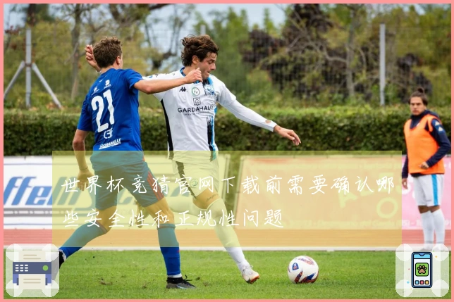 世界杯竞猜官网下载前需要确认哪些安全性和正规性问题