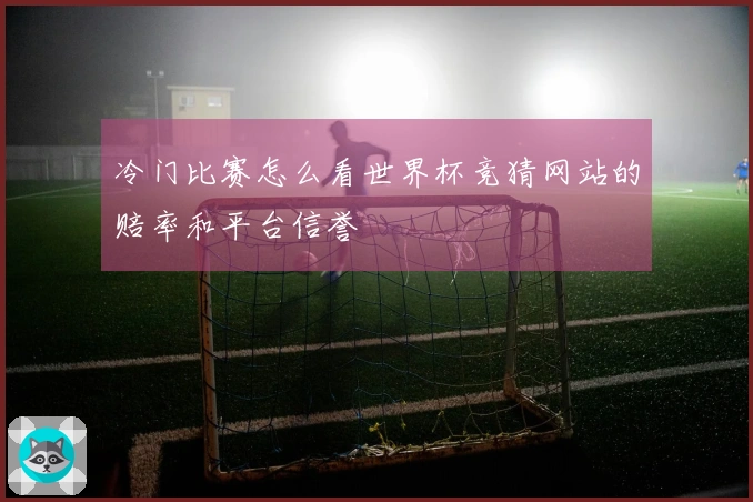 冷门比赛怎么看世界杯竞猜网站的赔率和平台信誉