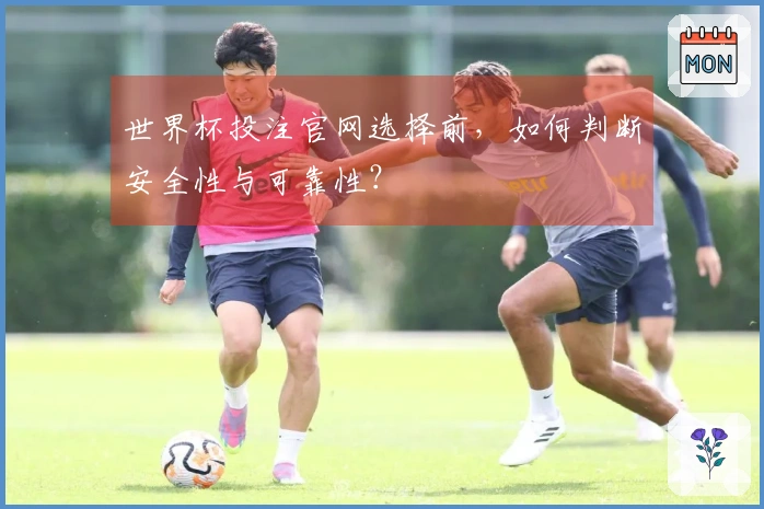 世界杯投注官网选择前，如何判断安全性与可靠性？