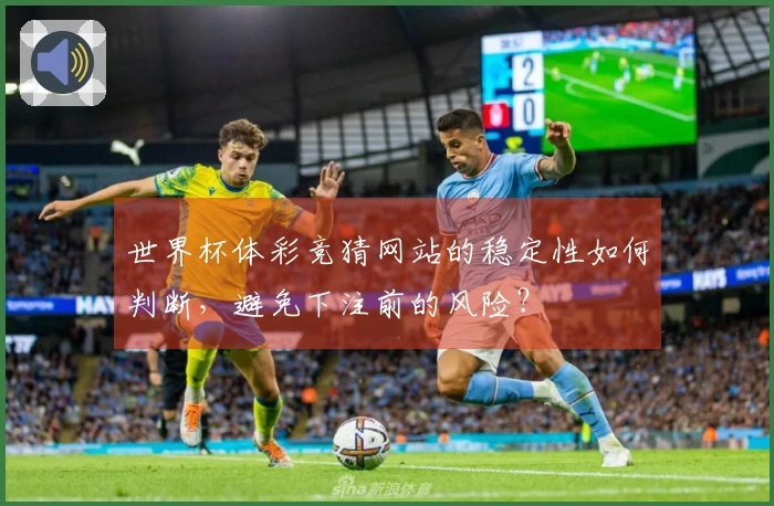 世界杯体彩竞猜网站的稳定性如何判断，避免下注前的风险？