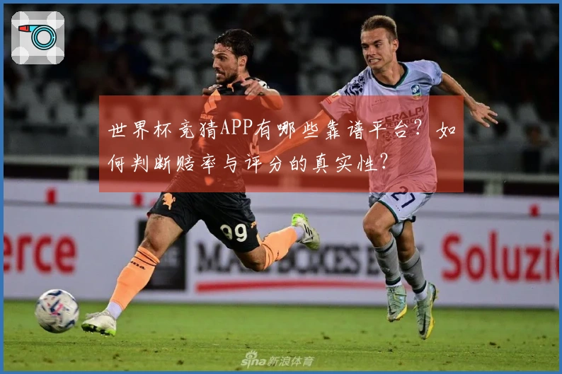 世界杯竞猜APP有哪些靠谱平台？如何判断赔率与评分的真实性？